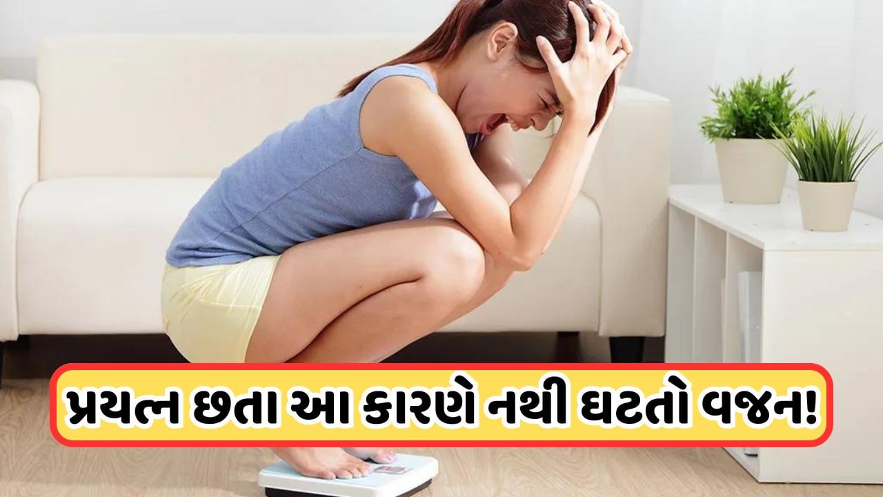 Weight loss: વજન ઘટાડવાના ચક્કરમાં મોટા ભાગના લોકો કરે છે આ મોટી ભૂલ, વજન ઘટવાની જગ્યાએ લાગે છે વધવા