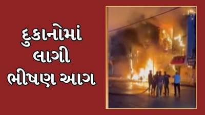Vadodara : ટાવર રોડ વિસ્તારમાં લાગી ભીષણ આગ,  2 વાહન, 5 દુકાનો બળીને ખાખ, જુઓ Video