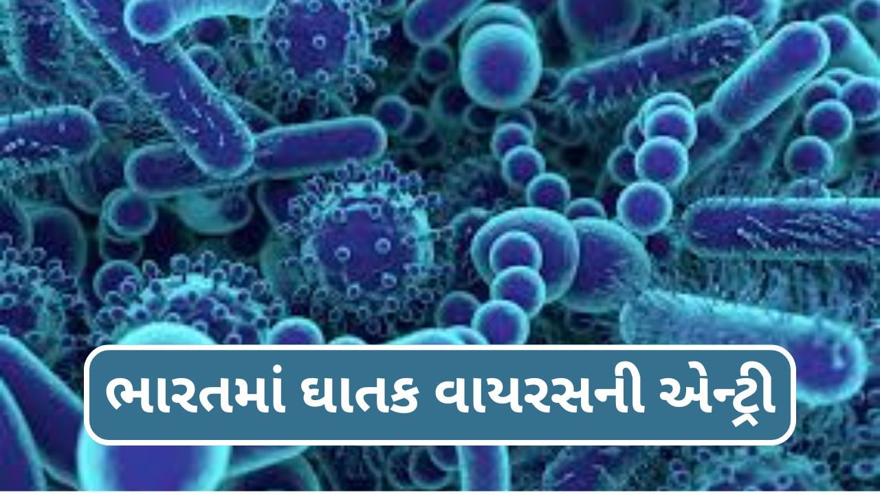 ભારતમાં ઘાતક ઝિકા વાયરસની એન્ટ્રી, જાણો તેના લક્ષણો, ફેલાવાની રીત અને નિવારણનાં પગલાં