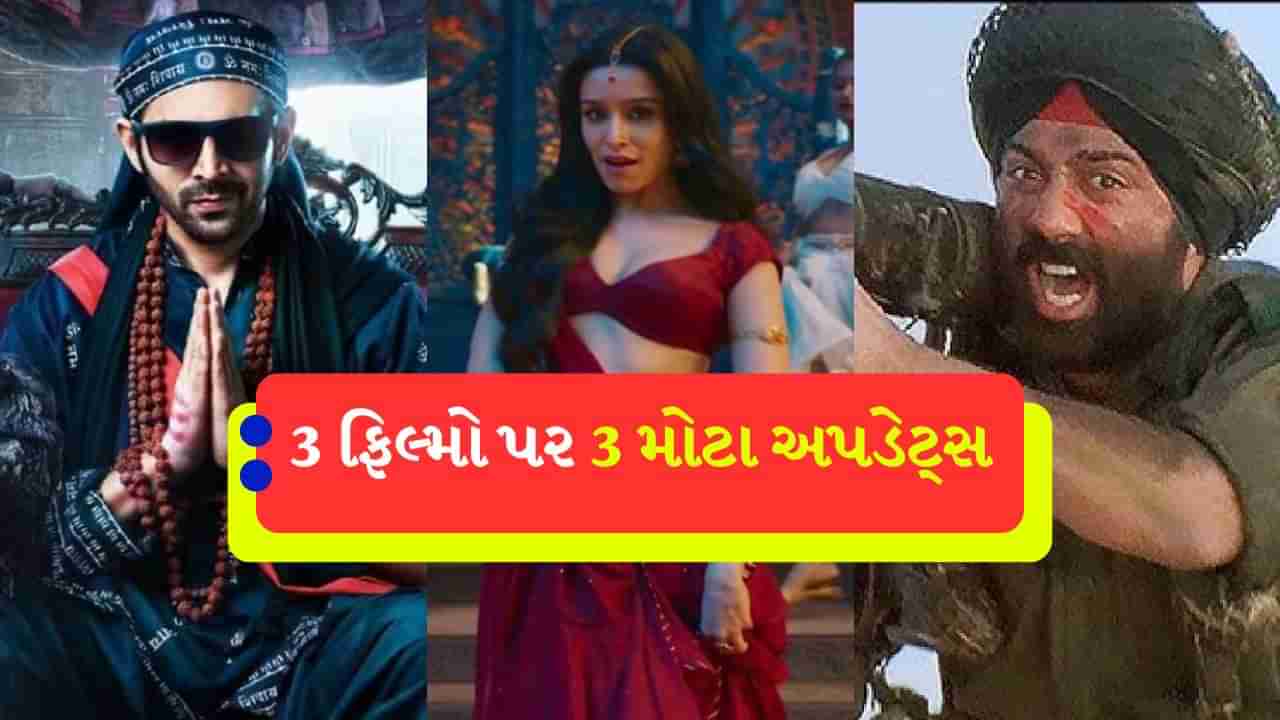 બોર્ડર 2 થી ભૂલ ભૂલૈયા 3 સુધી, સની દેઓલ, કાર્તિક આર્યન અને શ્રદ્ધા ધૂમ મચાવશે