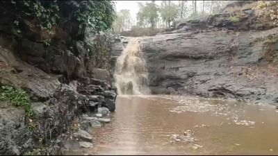 ડાંગ : ચોમાસુ જામતા કુદરતી સૌંદર્ય ખીલી ઉઠ્યું, નાના-મોટા ધોધ સક્રિય થતાં પ્રવાસીઓની સંખ્યામાં વધારો થયો, જુઓ વીડિયો