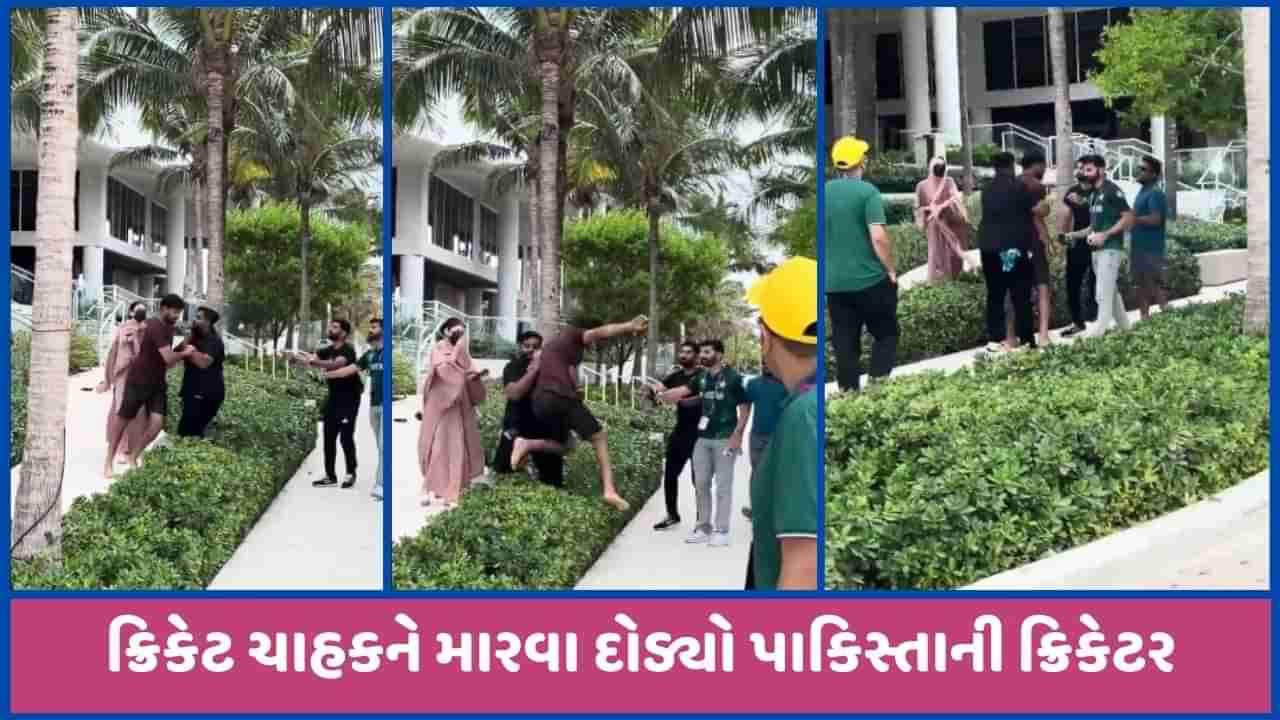 પાકિસ્તાનનો ક્રિકેટર ચાહક સાથે ઝઘડી પડ્યો, Video થયો વાયરલ, જુઓ