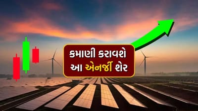 છેલ્લા એક મહિનામાં ઇન્ડિયન રિન્યુએબલ એનર્જી ડેવ એજન્સી લિમિટેડ (IREDA) ના શેર લગભગ 2.81% ઘટ્યા છે. જ્યારે છેલ્લા છ મહિનામાં 61.10% નો વધારો થયો છે. બુધવાર, 18 જૂને IREDA ના શેર રૂપિયા 175.97 પર બંધ થયા હતા. કંપનીના શેરમાં આજે 1% થી વધુનો ઘટાડો જોવા મળ્યો હતો.