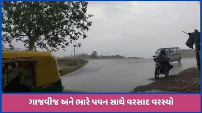 અરવલ્લી અને સાબરકાંઠામાં ગાજવીજ સાથે વરસાદ વરસ્યો, ગરમીમાં રાહત, જુઓ