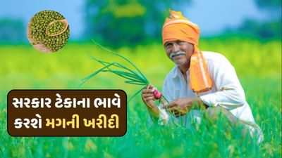 ગુજરાત સરકાર આ તારીખથી ખેડૂતો પાસેથી ઉનાળુ મગની ટેકાના ભાવે કરશે ખરીદી