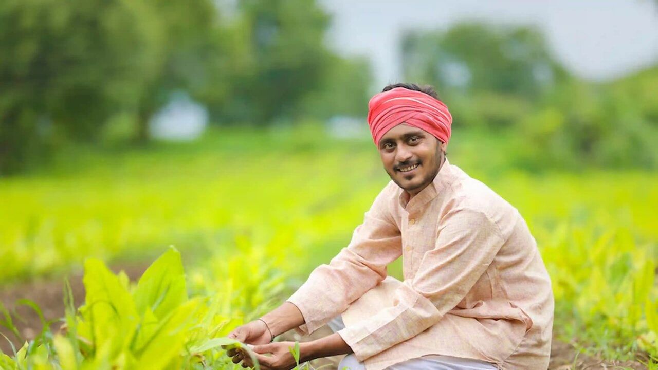 pm kisan farmer (4)