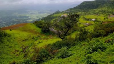 ડાંગ : ચોમાસાના પ્રારંભે પ્રકૃતિની સુંદરતા સોળે કળાએ ખીલી ઉઠી, જુઓ વીડિયો