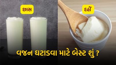 છાશ કે દહીં વજન ઘટાડવા માટે શું છે વધુ ફાયદાકારક?