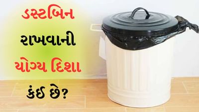 Dustbin Right Place : ઘરને સુંદર બનાવવા માટે એ સમજવું ખૂબ જરૂરી છે કે કઈ વસ્તુઓ કઈ દિશામાં રાખવી જોઈએ. પછી તે કોઈપણ સુશોભન વસ્તુ હોય અથવા રોજિંદા ઉપયોગ માટે આવશ્યક વસ્તુ હોય. યોગ્ય દિશામાં અને જગ્યાએ ન રાખવાથી માત્ર દેખાવ બગડે છે પરંતુ ઘરમાં સમસ્યા પણ સર્જાય છે. એવું માનવામાં આવે છે કે ઘરની ડસ્ટબીન પણ ચોક્કસ દિશામાં રાખવી જોઈએ.

