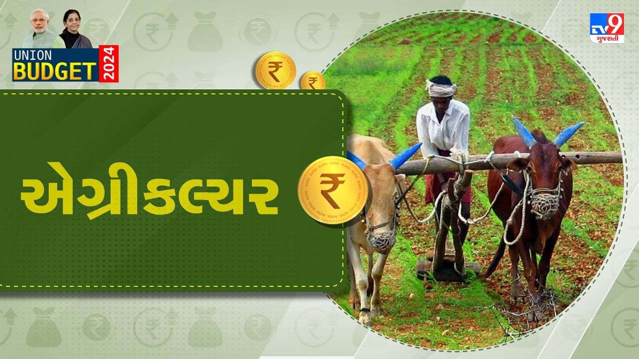 Agriculture Budget 2024 : આ ખેડૂતોને સહાય આપવામાં આવશે, જાણો ખેડૂતોને બજેટમાં શું મળ્યું