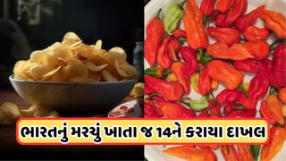 ભારતના સૌથી તીખા મરચાની ચિપ્સનો સ્વાદ જાપાનમાં પડ્યો મોંઘો! 14ને કરાયા દાખલ