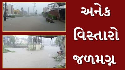 Anand Rain : બોરસદમાં મેઘરાજાની ધમાકેદાર બેટિંગ, 4 કલાકમાં 12 ઈંચ વરસાદ ખાબક્યો, અનેક વિસ્તારો જળમગ્ન, જુઓ Video