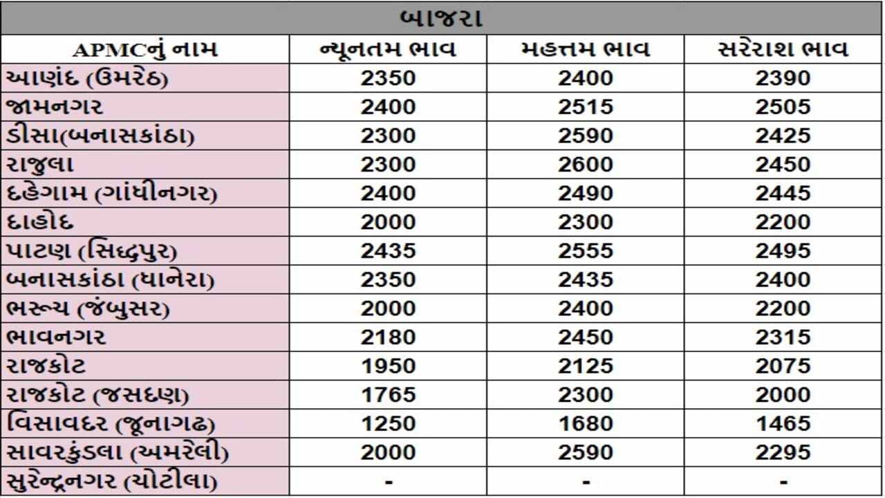 બાજરાના તા.30-07-2024ના રોજ APMCના ભાવ રૂ.1250 થી 2600 રહ્યા.