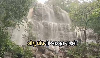 ડાંગમાં વરસાદી સિઝનમાં પ્રકૃતિ સોળે કળાએ ખીલી ઉઠી, જુઓ ભીગુ ધોધનો આકાશી નજારો- Video