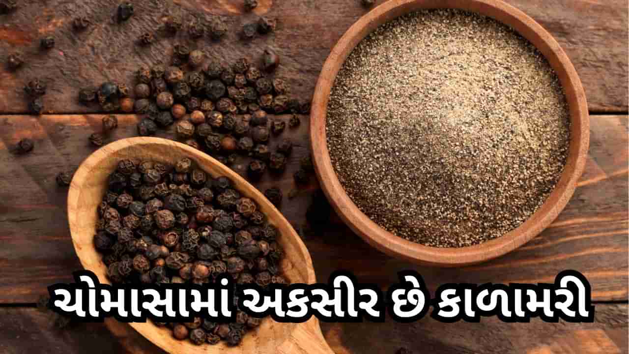 ચોમાસામાં સ્વાસ્થ્ય માટે રામબાણ છે કાળામરી, ડાયટમાં કરો સામેલ, ચોક્કસ થશે લાભ