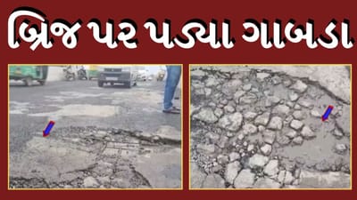 Vadodara Rain : વરસાદે તંત્રની ખોલી પોલ, ડભોઇ સરિતા ફાટક રેલવે ઓવરબ્રિજ પર રીપેરીંગ બાદ પણ પડ્યા ગાબડા, જુઓ Video