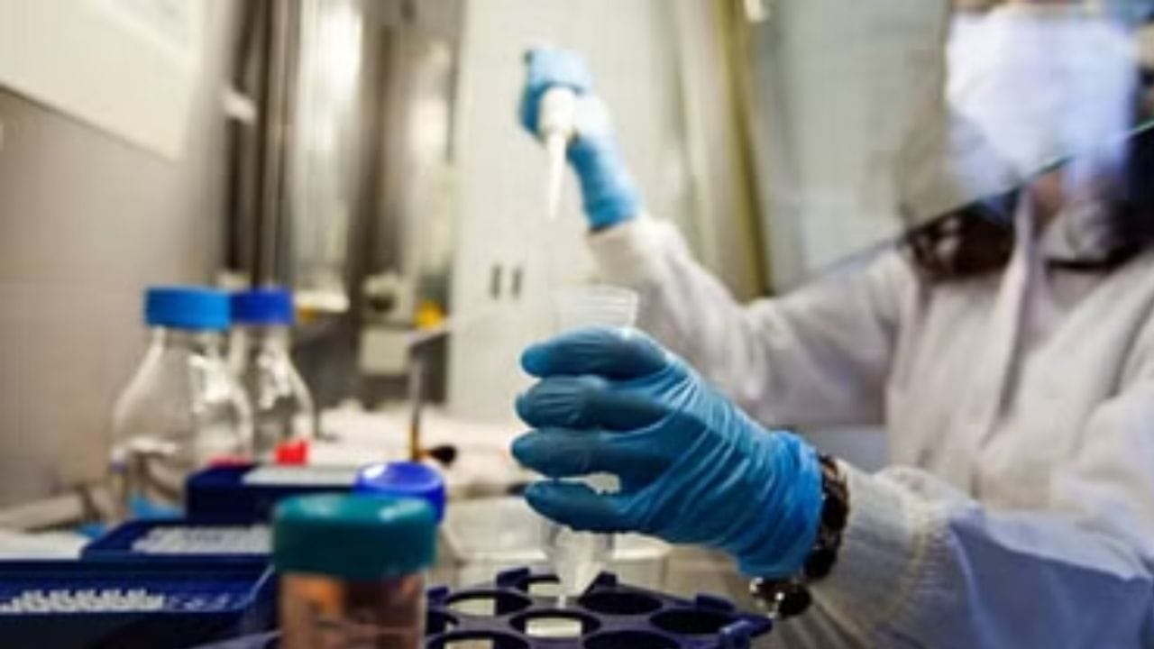 આરોગ્ય વિભાગ એલર્ટ : જૈને કહ્યું કે ચાંદીપુરા વાયરસના દર્દીઓ મળી આવ્યા બાદ આરોગ્ય વિભાગની ટીમે સોમવારે ખેરવાડા અને નયાગાંવમાં સર્વે કર્યો હતો. બંને સ્થળોએ 35 ઘરોના સર્વેક્ષણમાં, એવો કોઈ દર્દી મળ્યો નથી કે જેને ચાંદીપુરા ચેપના લક્ષણો હોય. બીમાર બાળકના પરિવારના સભ્યોની કોઈ ટ્રાવેલ હિસ્ટ્રી પણ નથી. આ ઉપરાંત ગુજરાતને અડીને આવેલા કોટડા, ખેરવારા અને નયાગાંવ વિસ્તારોમાં મેડિકલ ટીમો ખાસ ફરજ પર તૈનાત કરવામાં આવી છે. સારવાર દરમિયાન બાળકના મોત બાદ અમે સાવચેતી રાખી રહ્યા છીએ. બાળકમાં ચાંદીપુરા વાયરસના લક્ષણો હતા. પુણેથી રિપોર્ટ આવવાનો બાકી છે.