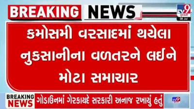 માર્ચ-મે 2024ના કમોસમી વરસાદથી ખેતી ક્ષેત્રે થયેલા નુકસાન અંગે 7 જિલ્લાના 11 હજારથી વધુ ખેડૂતોને ચૂકવાશે વળતર