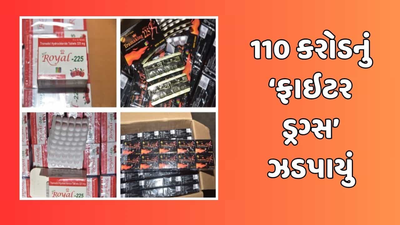 Kutch : મુન્દ્રા પોર્ટ પરથી ઝડપાયુ રુ. 110 કરોડનું પ્રતિબંધિત ‘ફાઇટર ડ્રગ્સ’, આફ્રિકાના બે દેશોમાં થવાની હતી ડિલીવરી, જુઓ Video