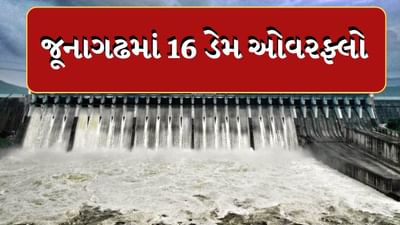 Rain News : જૂનાગઢ જિલ્લાના 19 ડેમમાંથી 16 ડેમ ઓવરફ્લો, 27 લોકોનું રેસ્ક્યુ, 3 લોકોના મોત, જુઓ Video