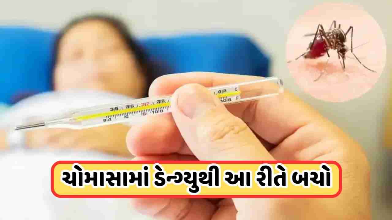 Dengue: વરસાદથી વધી રહ્યો છે ડેન્ગ્યુનો ખતરો, બચવા માટે માનો ડોક્ટરની આ સલાહ