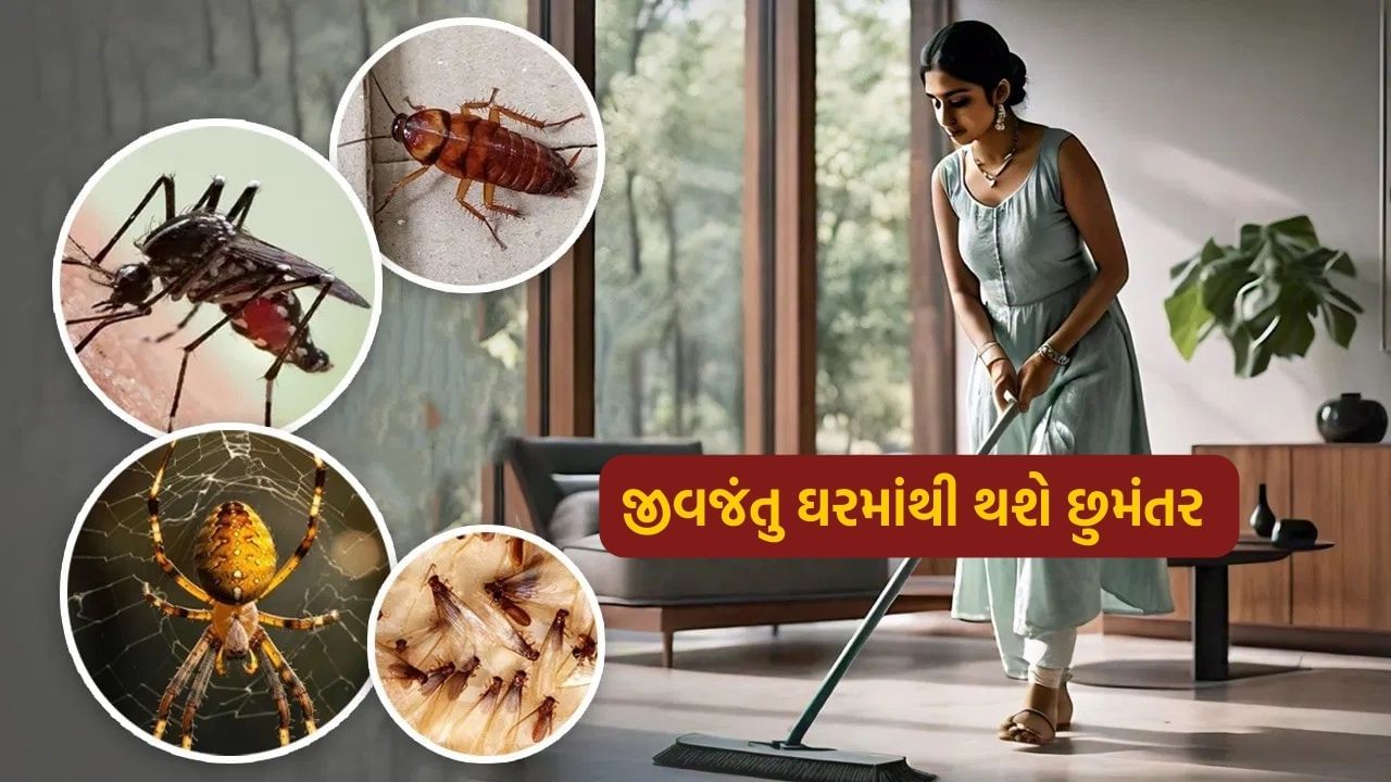 Insect Killer: વરસાદની ઋતુમાં ઘરમાં આવે છે ઉડતા જીવજંતુ? આ ડિવાઇસ ઇન્સ્ટોલ કરતાની સાથે જ થઈ જશે છુમંતર