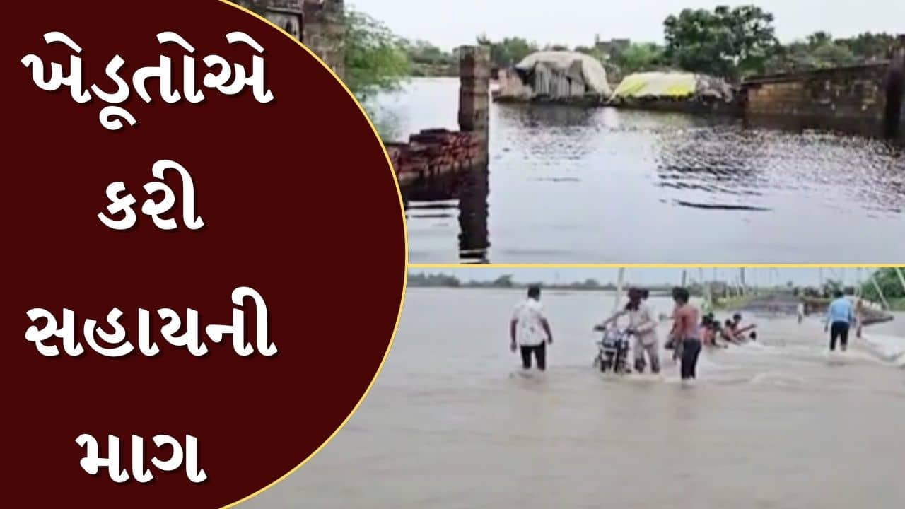 Dwarka Rain : ખંભાળિયામાં ભારે વરસાદ સહાયની માગ,કોંગ્રસે અને ખેડૂતોએ કલેક્ટરને આપ્યું આવેદન પત્ર, જુઓ Video