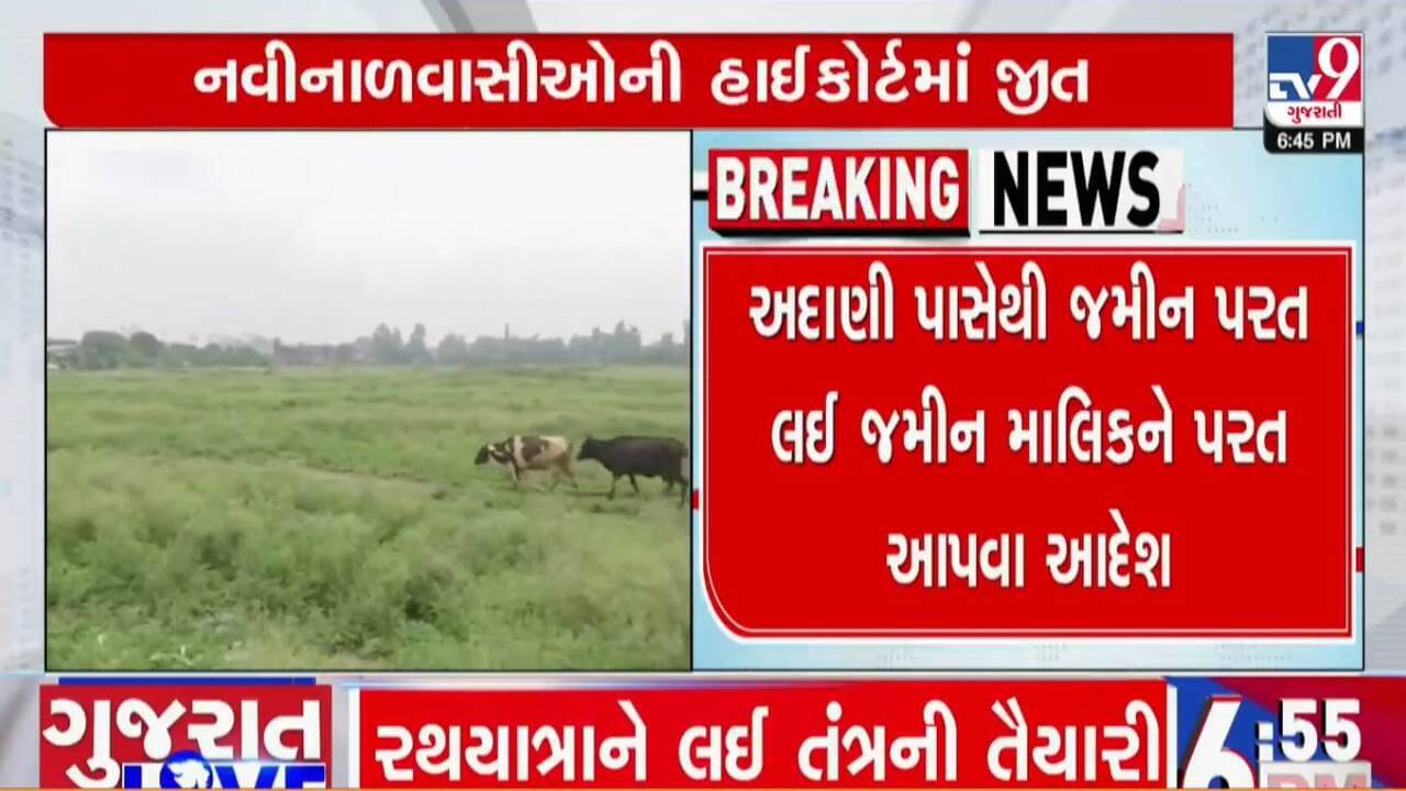 ગૌચરની જમીન સરકારી નથી, લોકો તેના માલિક છે, અદાણીને આપેલી જમીન લોકોને પરત કરવા હાઈકોર્ટનો આદેશ