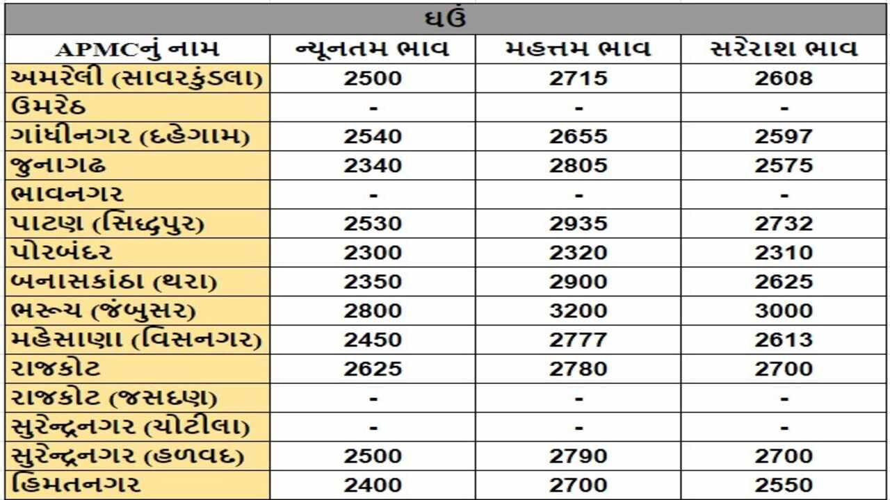 ઘઉંના તા.06-07-2024ના રોજ APMCના ભાવ રૂ.2300 થી 3200 રહ્યા.