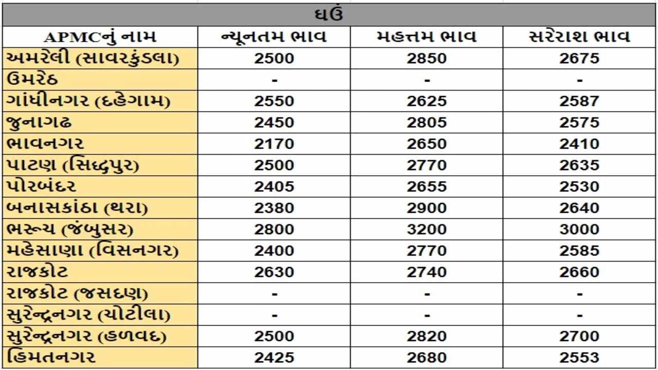 ઘઉંના તા.11-07-2024ના રોજ APMCના ભાવ રૂ.2170 થી 3200 રહ્યા.