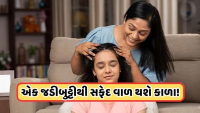 White Hair Problem: નાની ઉંમરે સફેદ થઈ ગયા છે વાળ, આ જડીબુટ્ટીનો કરો ઉપયોગ, જોવા મળશે રિઝલ્ટ