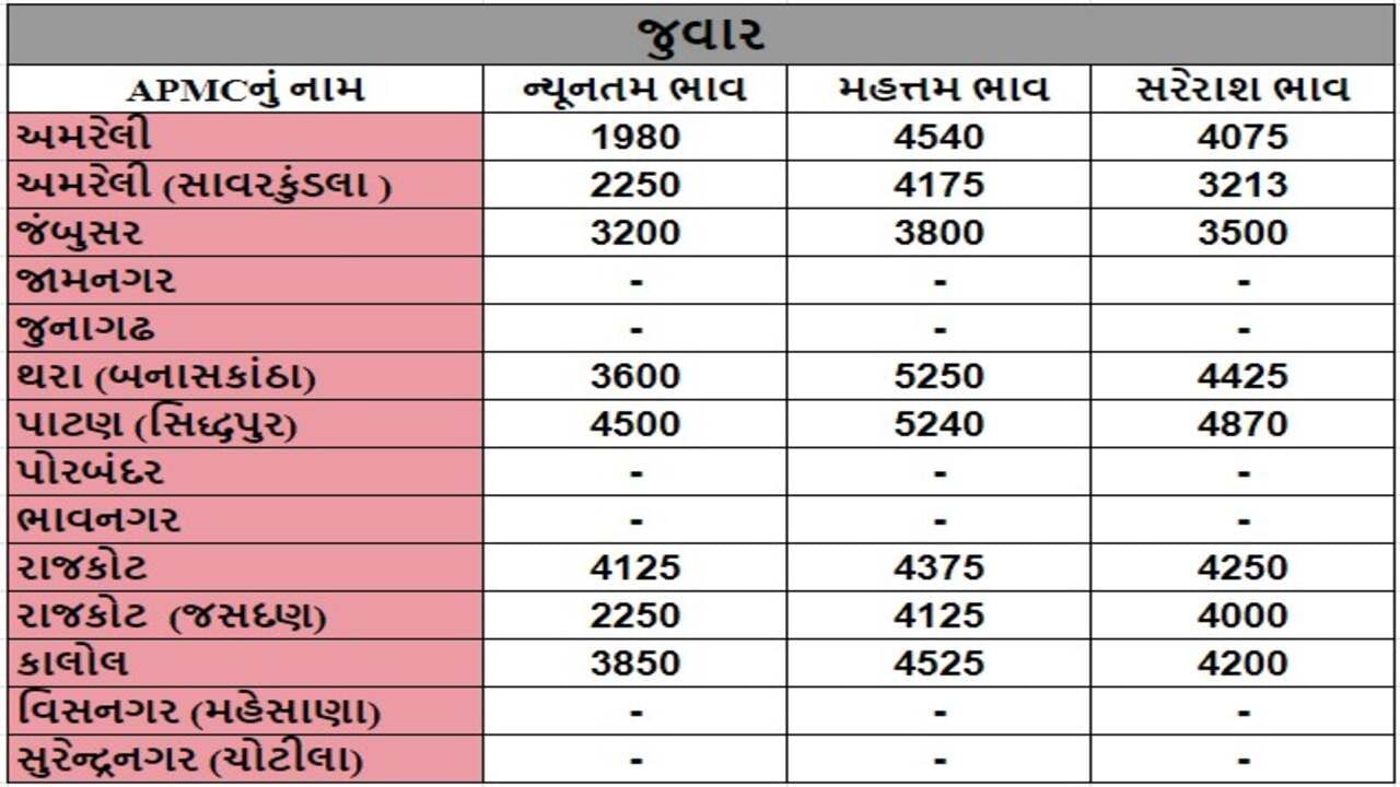 જુવારના તા.15-07-2024ના રોજ APMCના ભાવ રૂ.1980 થી 5250 રહ્યા.