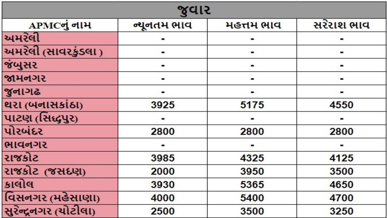 જુવારના તા.17-07-2024ના રોજ APMCના ભાવ રૂ.2000 થી 5400 રહ્યા.