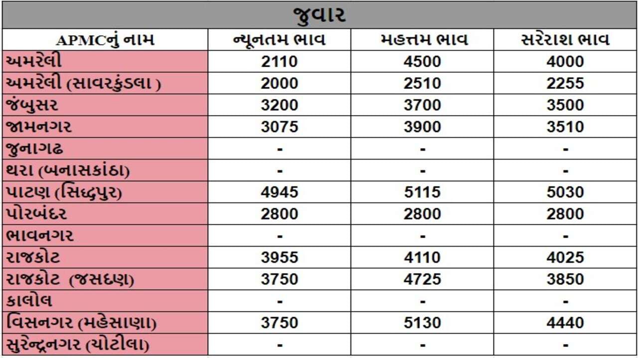 જુવારના તા.25-07-2024ના રોજ APMCના ભાવ રૂ.2000 થી 5130 રહ્યા.