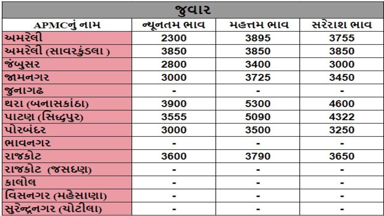 જુવારના તા.29-07-2024ના રોજ APMCના ભાવ રૂ.2300 થી 5300 રહ્યા.