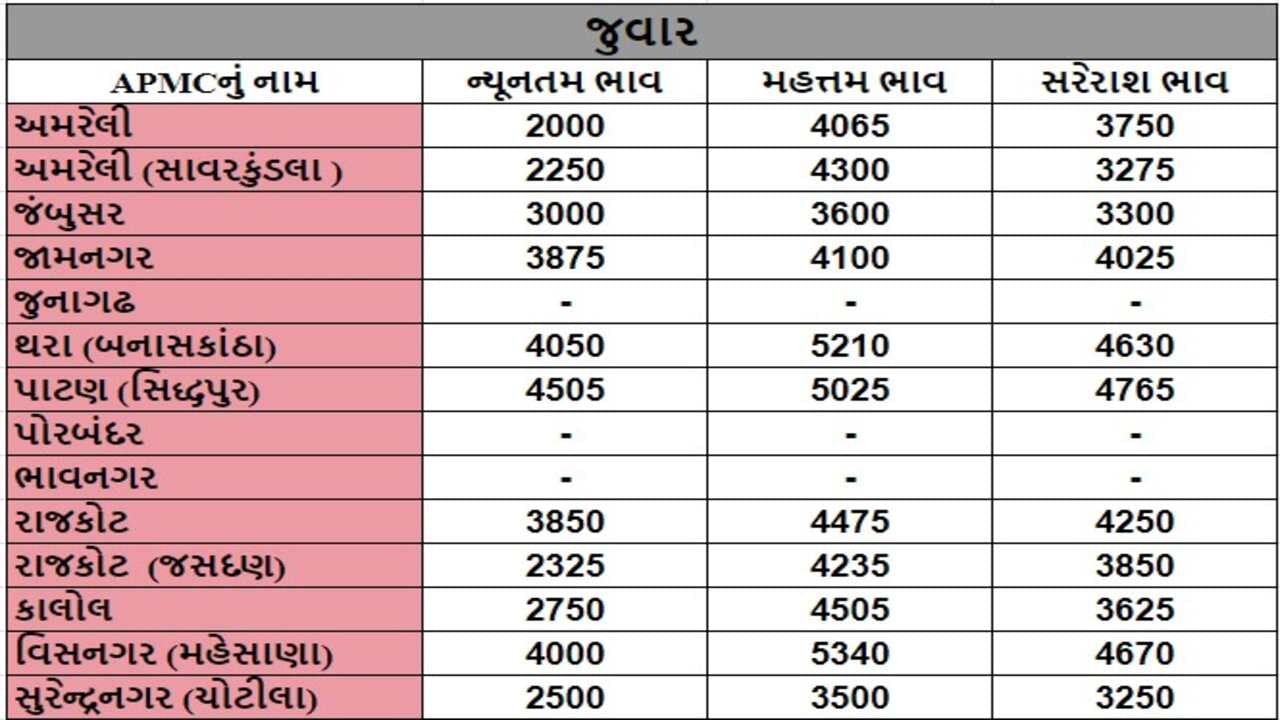 જુવારના તા.03-07-2024ના રોજ APMCના ભાવ રૂ.2000 થી 5340 રહ્યા.