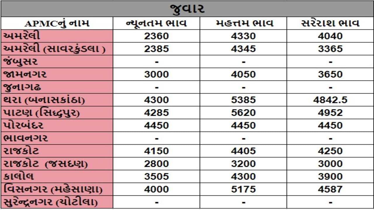 જુવારના તા.06-07-2024ના રોજ APMCના ભાવ રૂ.2360 થી 5620 રહ્યા.