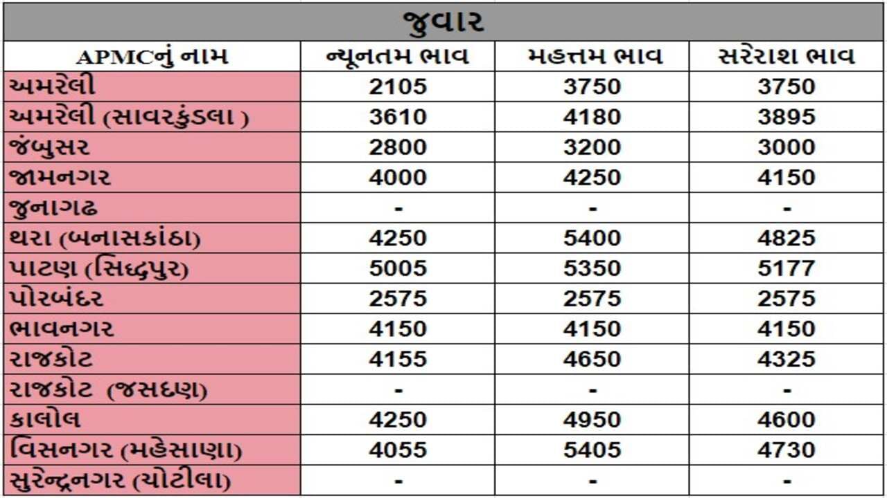 જુવારના તા.08-07-2024ના રોજ APMCના ભાવ રૂ.2105 થી 5405 રહ્યા.