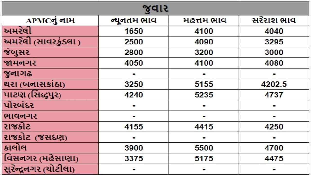 જુવારના તા.10-07-2024ના રોજ APMCના ભાવ રૂ.1650 થી 5500 રહ્યા.