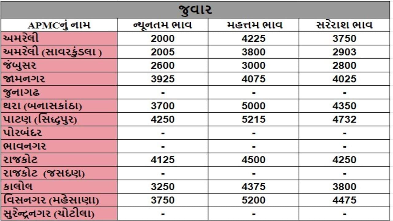 જુવારના તા.11-07-2024ના રોજ APMCના ભાવ રૂ.2000 થી 5215 રહ્યા.