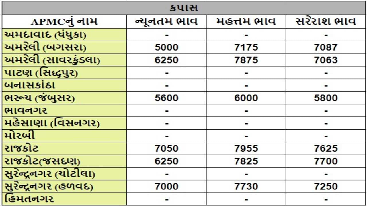 કપાસના તા.15-07-2024ના રોજ APMCના ભાવ રૂ.5000 થી 7955 રહ્યા.