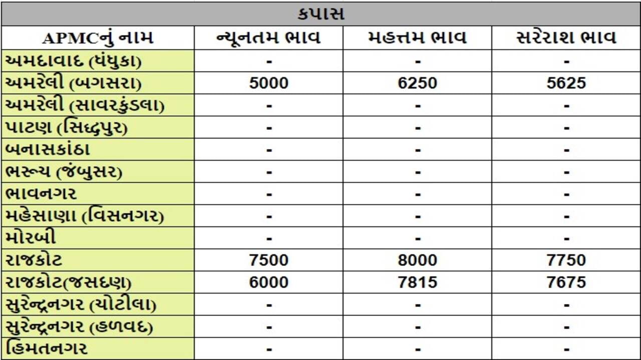 કપાસના તા.17-07-2024ના રોજ APMCના ભાવ રૂ.5000 થી 8000 રહ્યા.