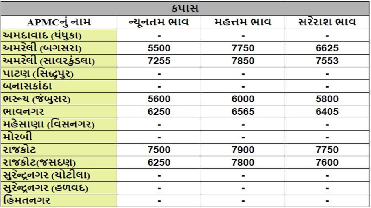 કપાસના તા.18-07-2024ના રોજ APMCના ભાવ રૂ.5500 થી 7900 રહ્યા.