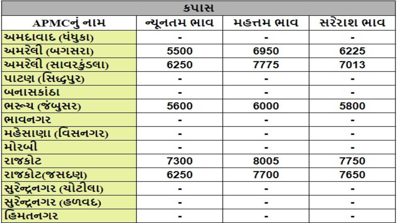 કપાસના તા.23-07-2024ના રોજ APMCના ભાવ રૂ.5500 થી 8005 રહ્યા.