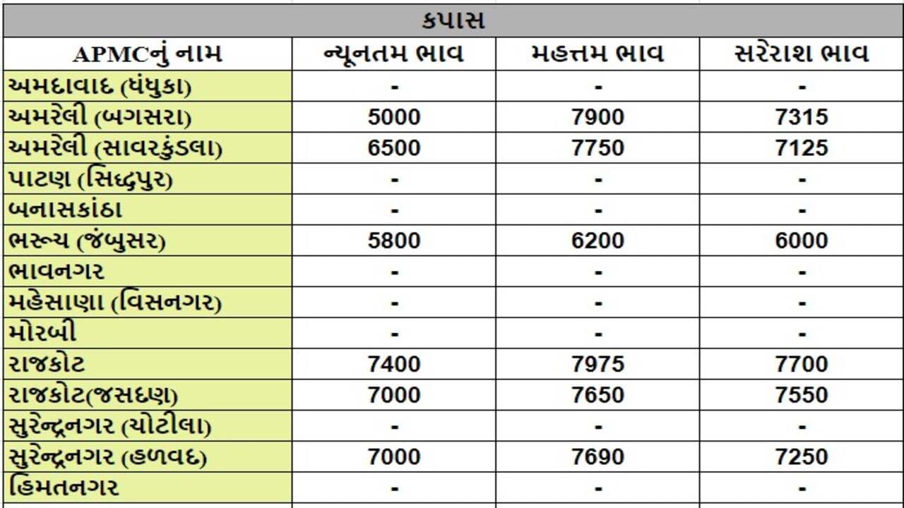 કપાસના તા.24-07-2024ના રોજ APMCના ભાવ રૂ.5000 થી 7975 રહ્યા.