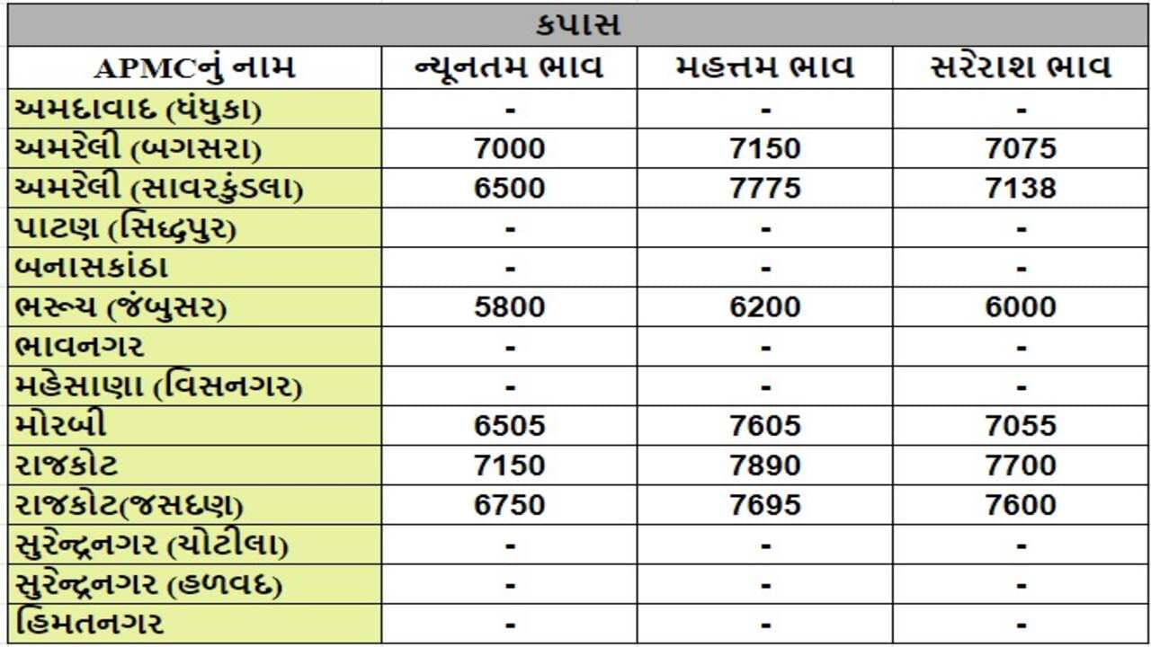 કપાસના તા.309-07-2024ના રોજ APMCના ભાવ રૂ.5800 થી 7890 રહ્યા.