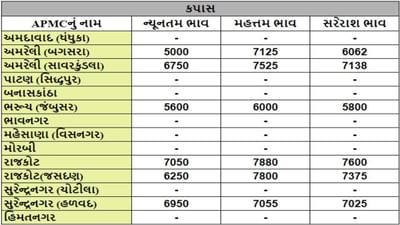 કપાસના તા.03-07-2024ના રોજ APMCના ભાવ રૂ.5000 થી 7880 રહ્યા.