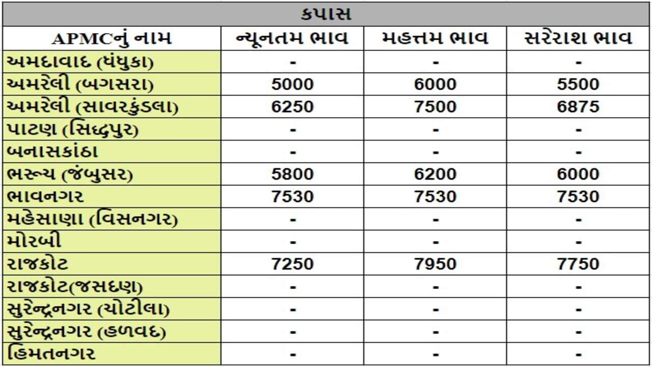 કપાસના તા.08-07-2024ના રોજ APMCના ભાવ રૂ.5000 થી 7950 રહ્યા.