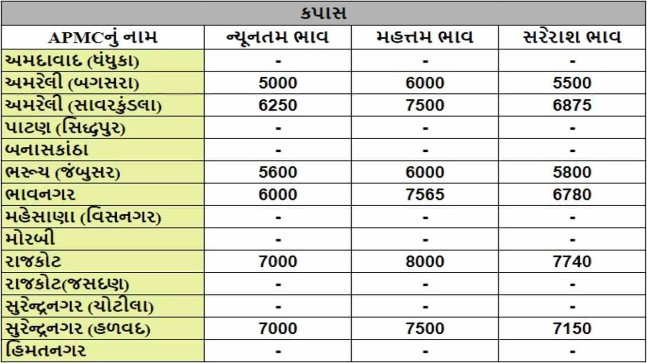 કપાસના તા.10-07-2024ના રોજ APMCના ભાવ રૂ.5000 થી 8000 રહ્યા.