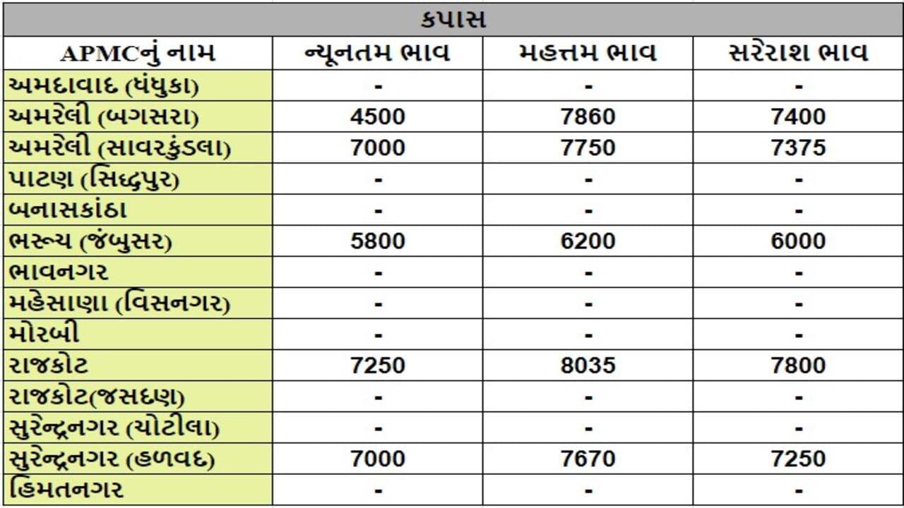 કપાસના તા.11-07-2024ના રોજ APMCના ભાવ રૂ.4500 થી 8035 રહ્યા.